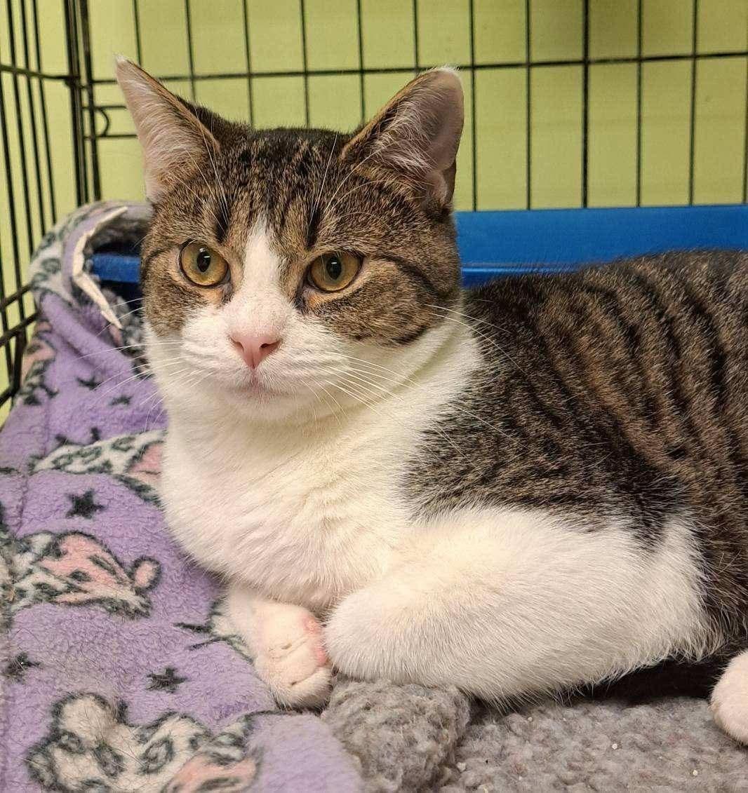 Andy — thumbnail 3