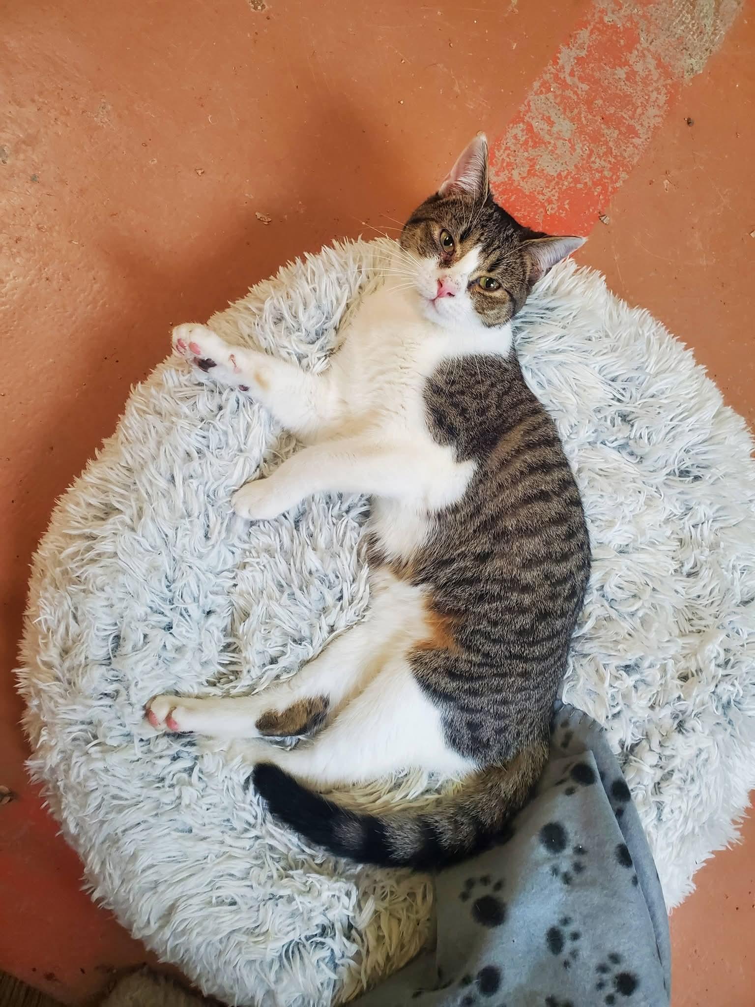 Andy — thumbnail 4