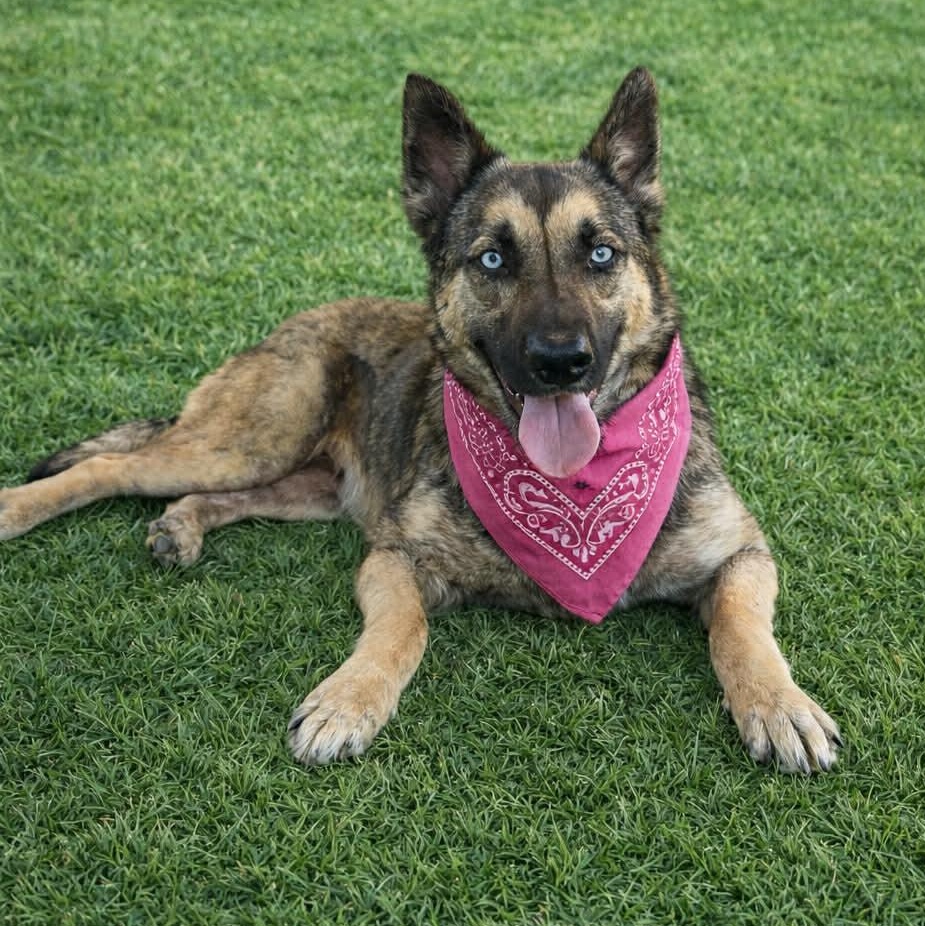 MINA GS — thumbnail 2