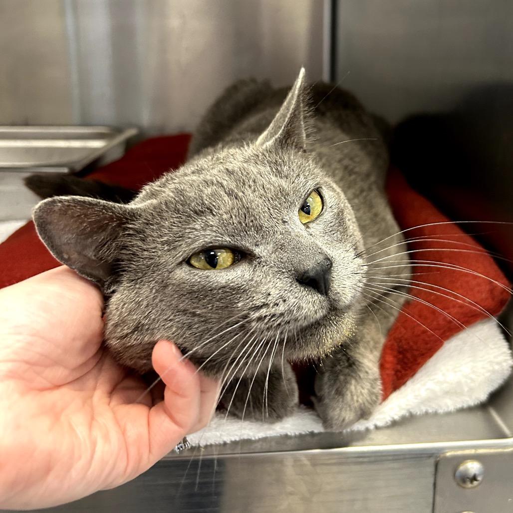 Fluky — thumbnail 3