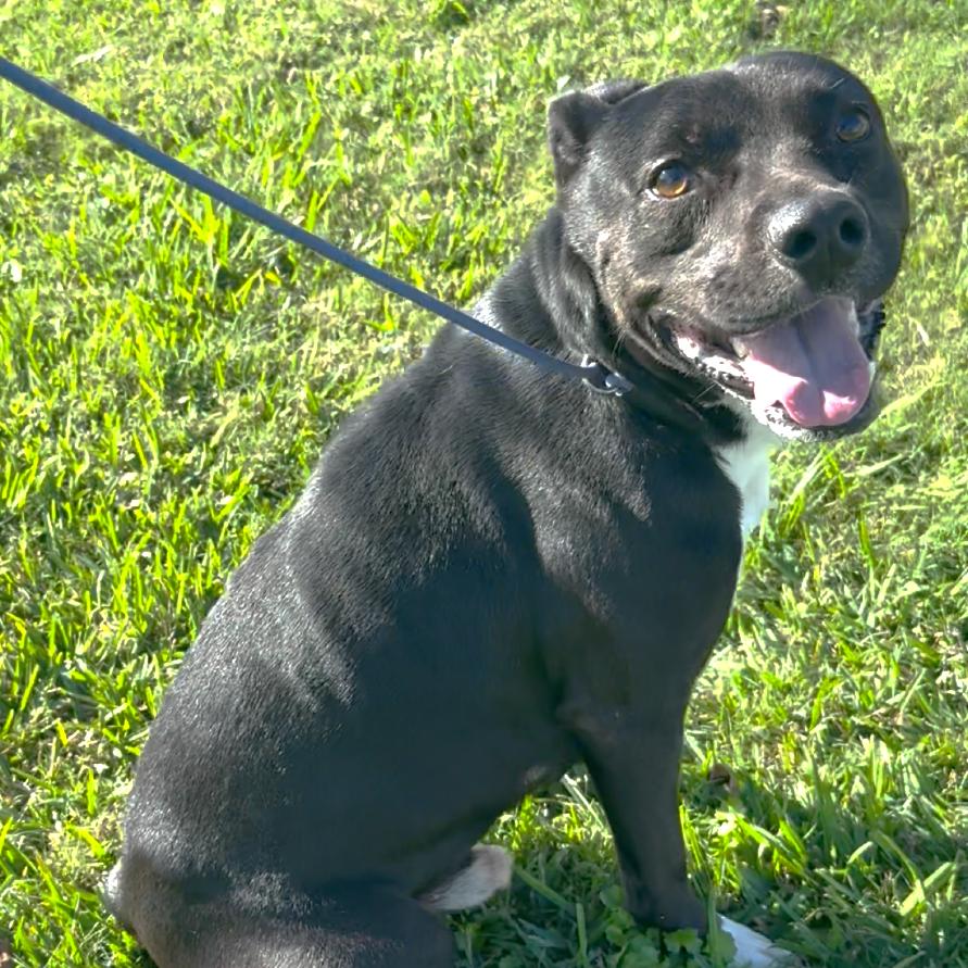 Burkett — thumbnail 2