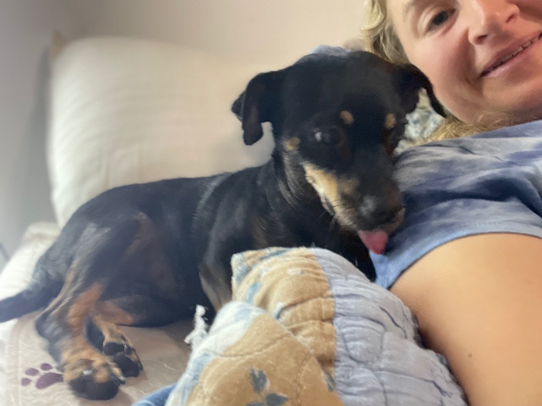 Piggy, a Adoptable Mixed Breed in minneapolis, MN image 3/4