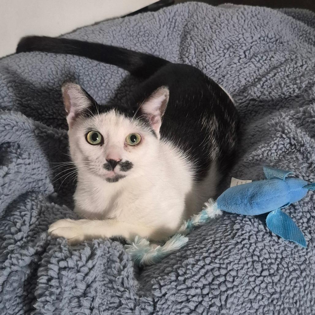Charlie photo
