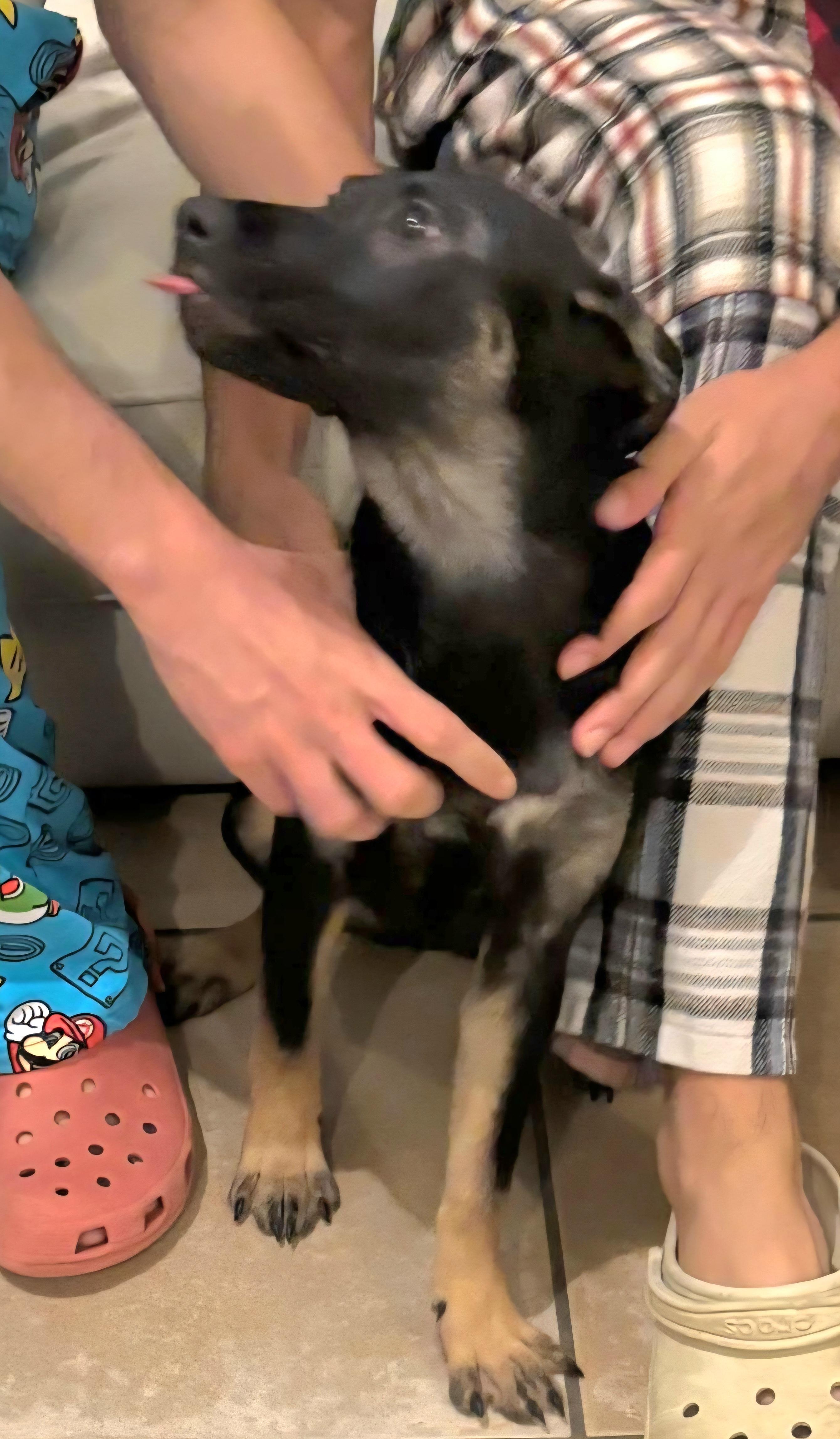 Sushi Lu "the Perfect thumbnail 4