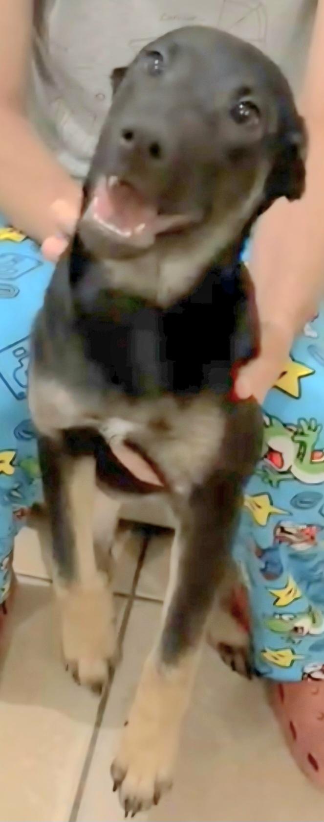 Sushi Lu "the Perfect thumbnail 5