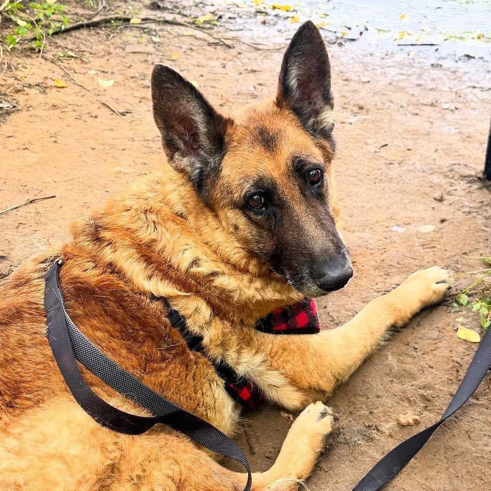 Iridessa — thumbnail 2