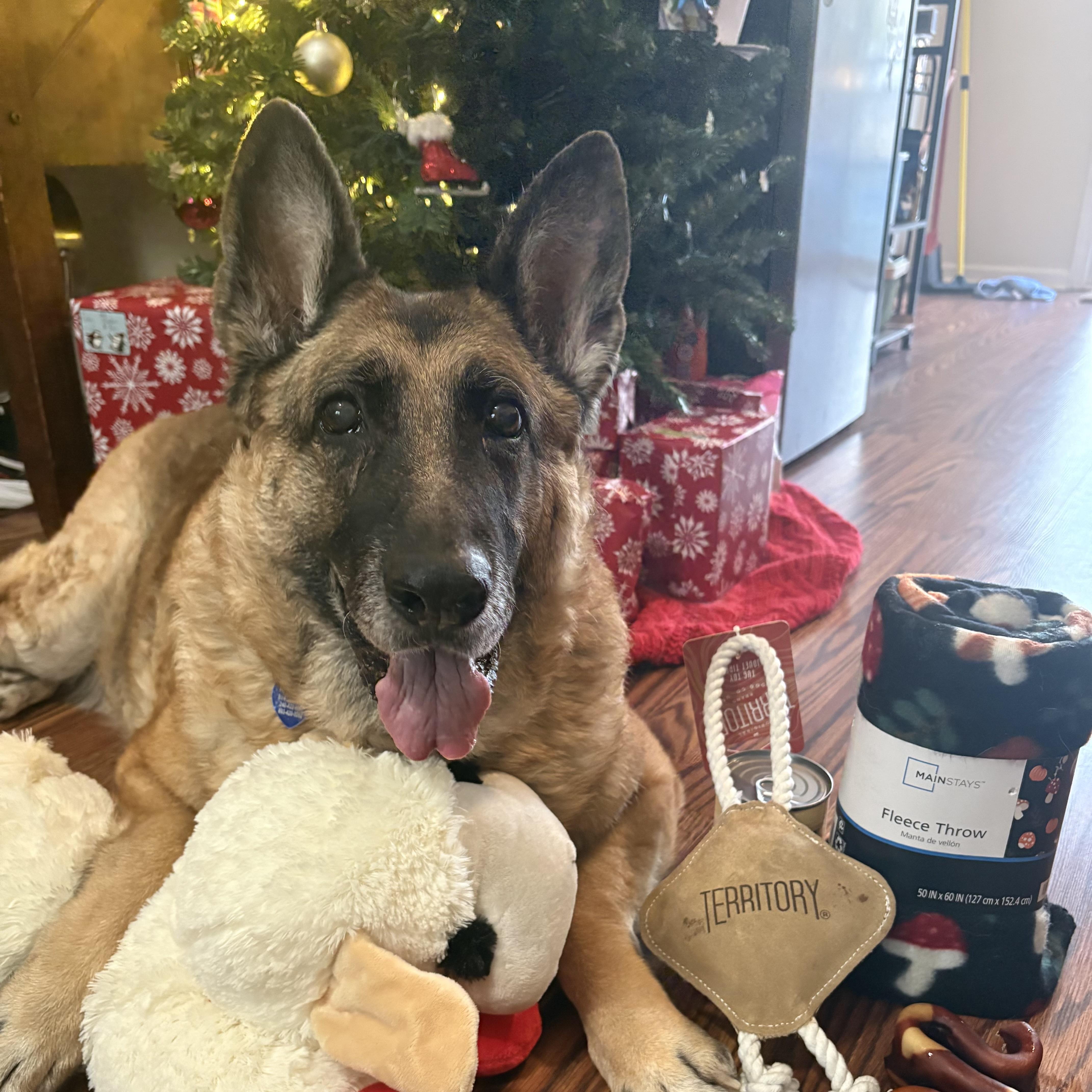 Iridessa — thumbnail 5