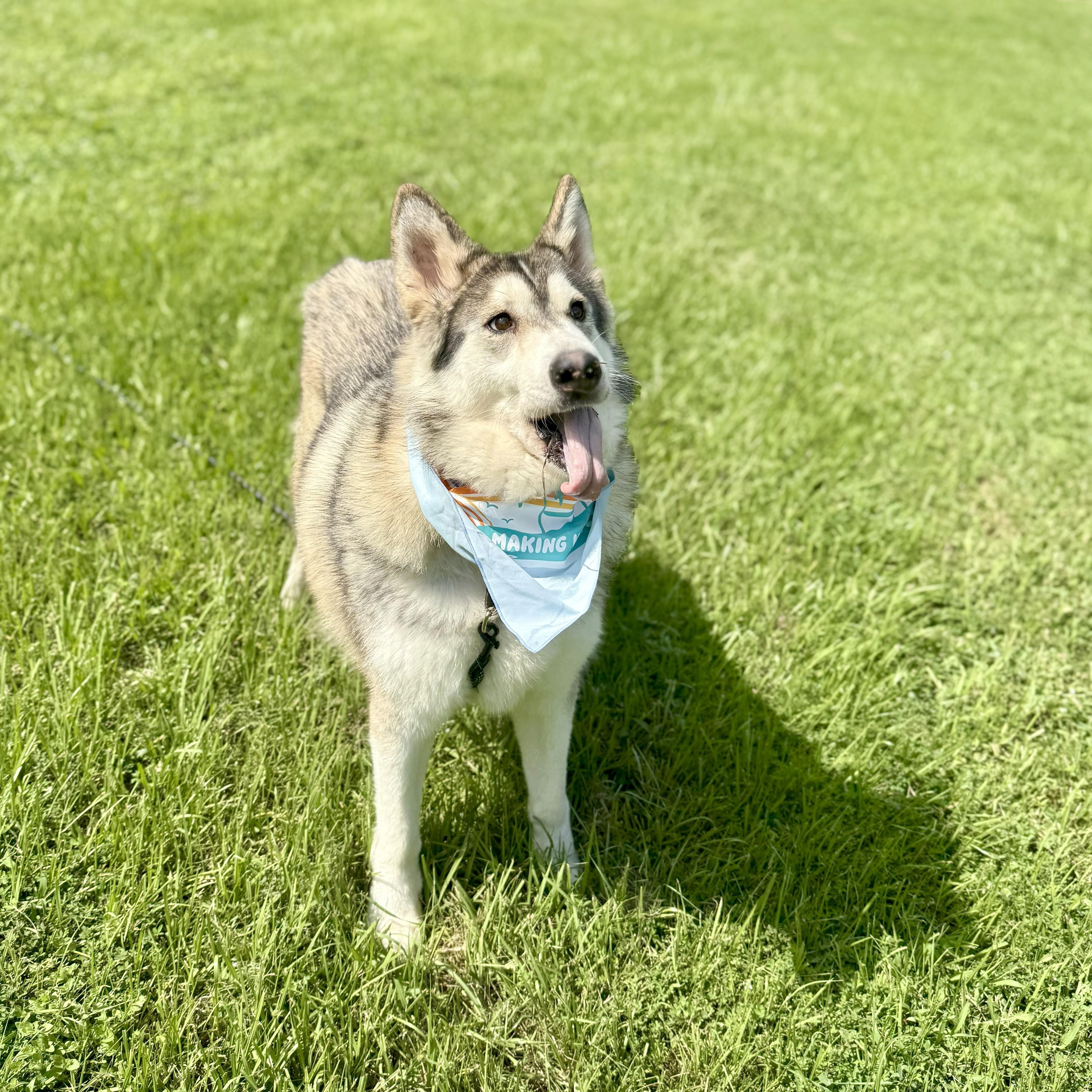 Crystel — thumbnail 5