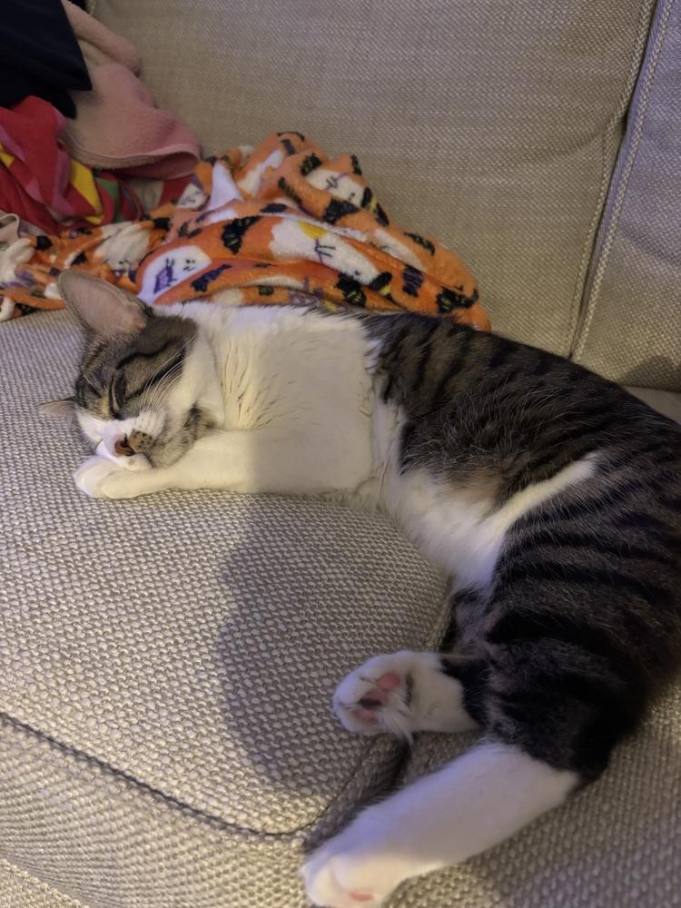 Alex — thumbnail 2