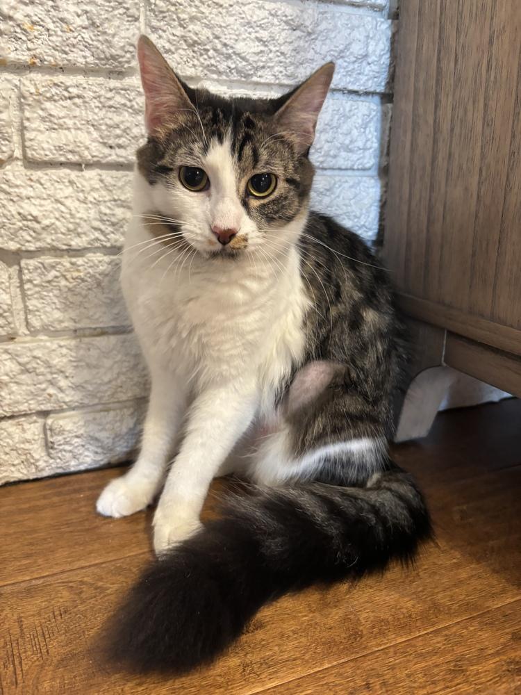 Alex — thumbnail 3