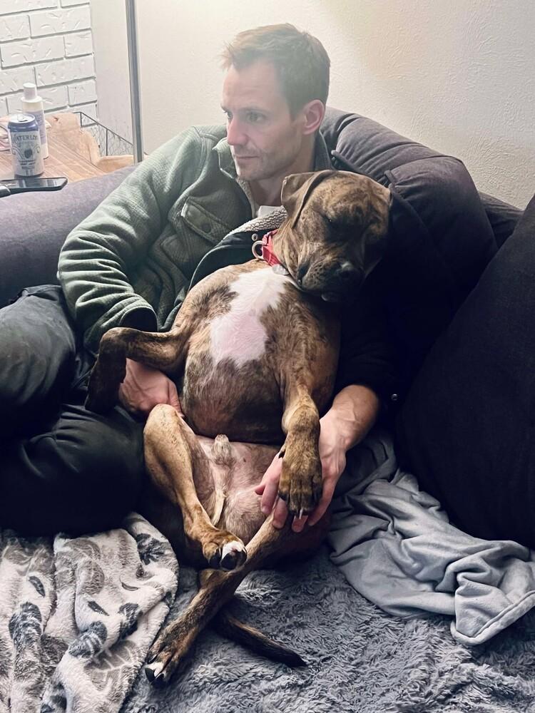 Stetson, a Adoptable mixed breed in Denver, CO image 6/6