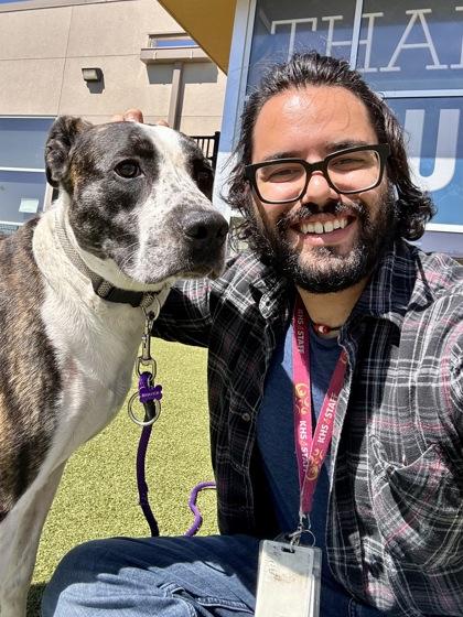 Cyrus King, Adoptable, Adult Male Mixed Breed & Mixed Breed.