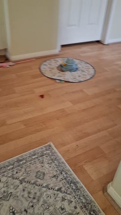 Enlarge :::Mashall:::, an adopted mixed breed in Yorba Linda, CA video 6/6