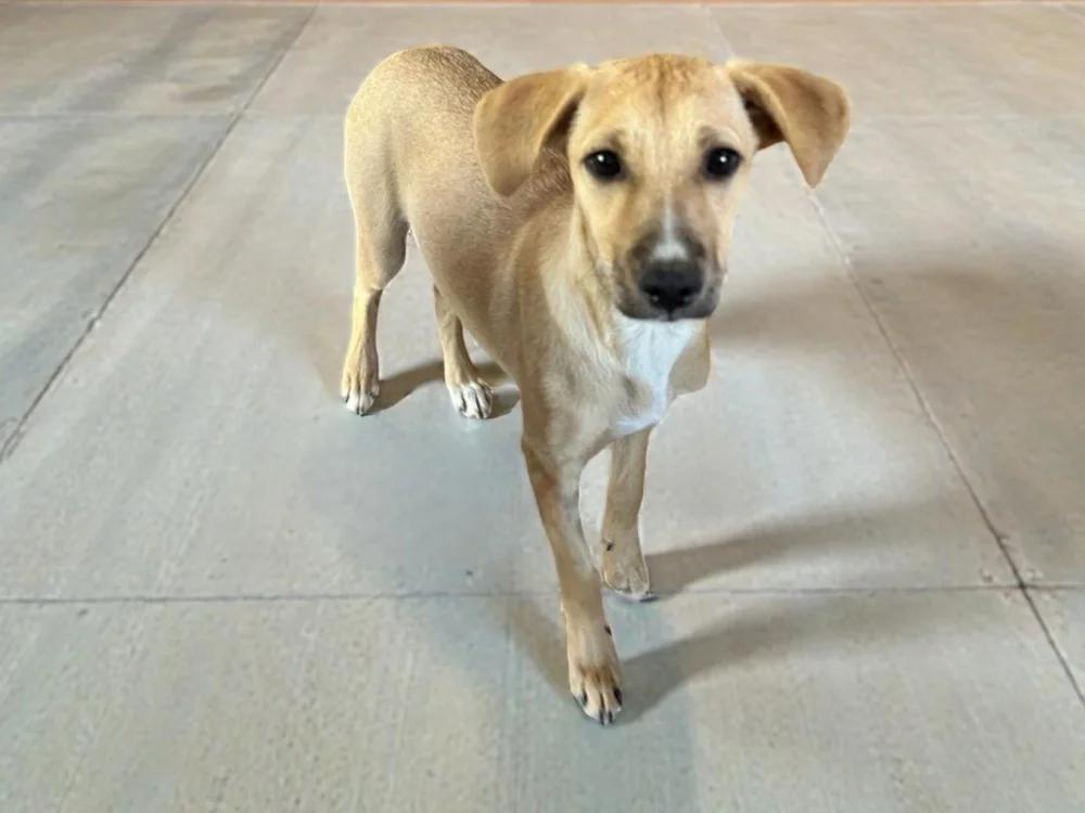 Noelle — thumbnail 5