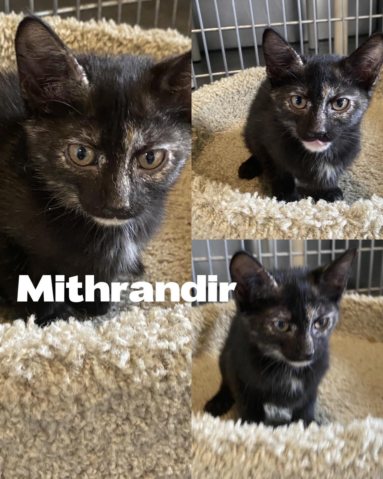 Mithrandir!