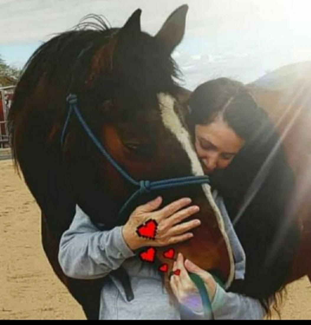 Enlarge Momentum, a Adoptable Thoroughbred in Yucca Valley, CA image 4/4