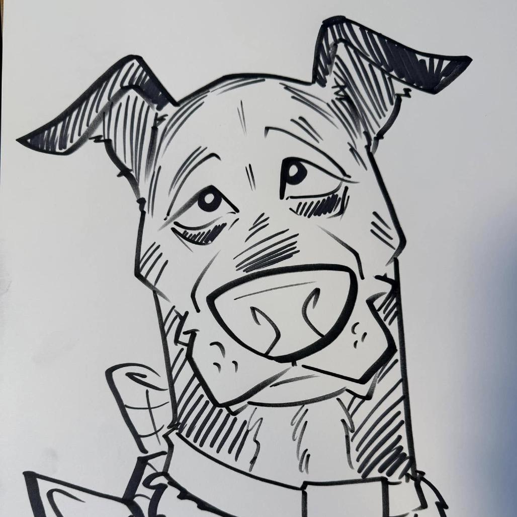 Enlarge Zorro, a Adoptable mixed breed in Madison, WI image 6/6