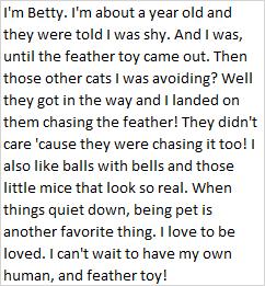 Enlarge Betty, a ADOPTABLE Domestic Short Hair in Libby, MT image 2/2