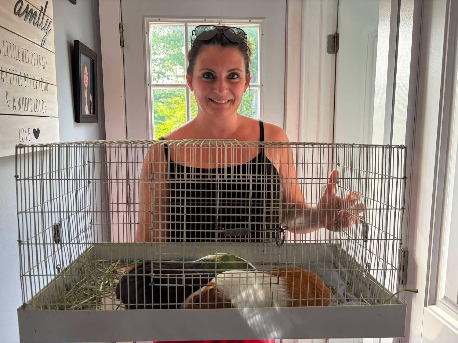 Enlarge Lea and Eva, a Adopted Guinea Pig in Tonawanda, NY image 3/3