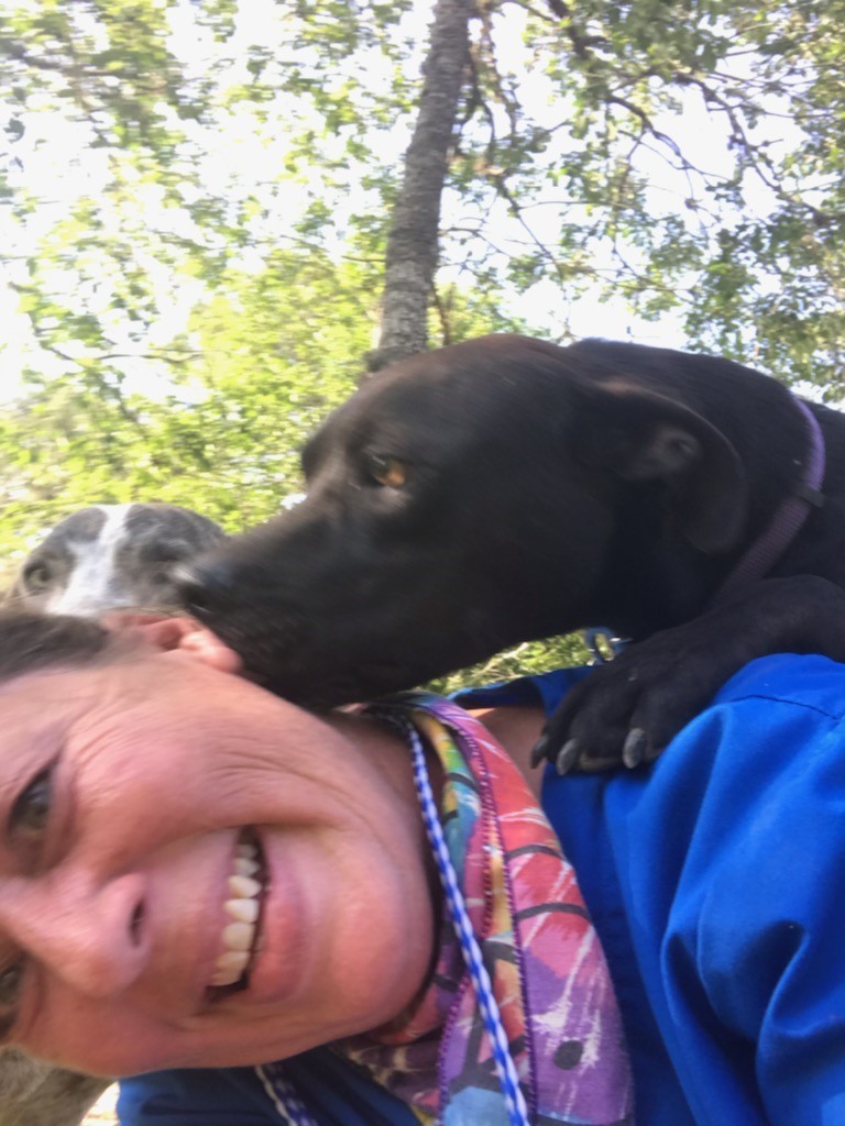 Jeffrey, a Adoptable mixed breed in Sheridan, TX image 3/12