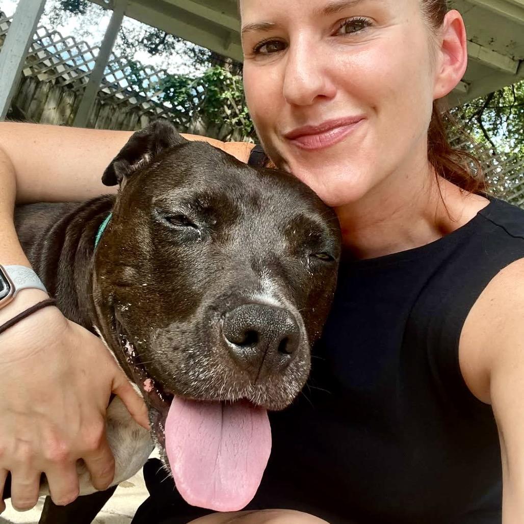 Jada, Adoptable, Senior Female Pit Bull Terrier.