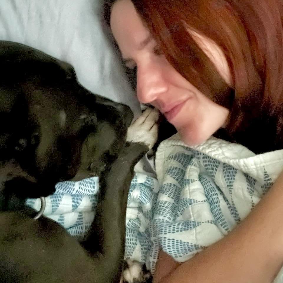 Enlarge Jada, a Adoptable Pit Bull Terrier in Austin, TX image 4/6