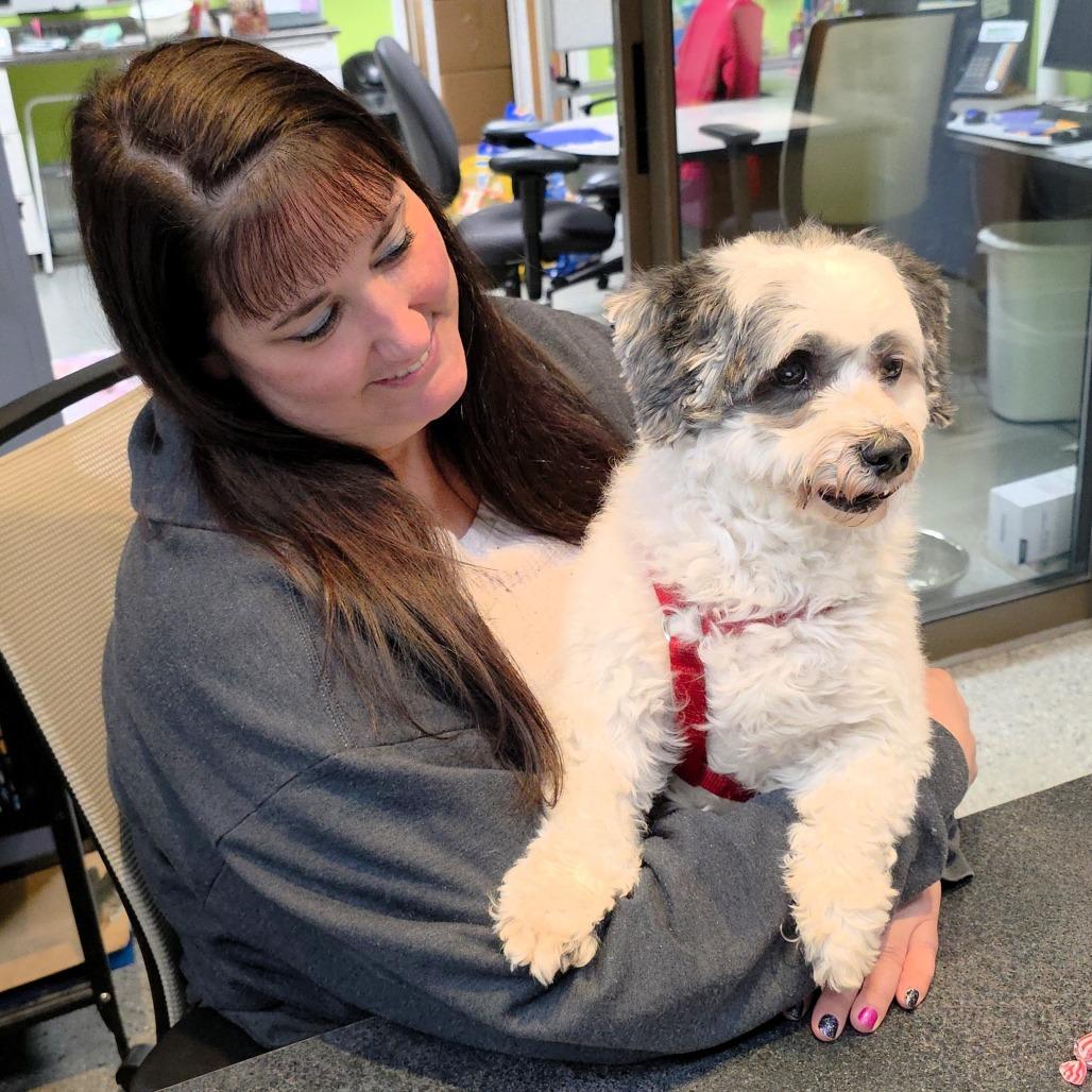 China, a Adoptable mixed breed in Michigan City, IN image 5/5