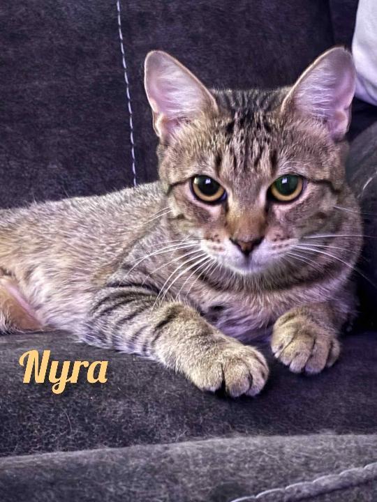 Nyra