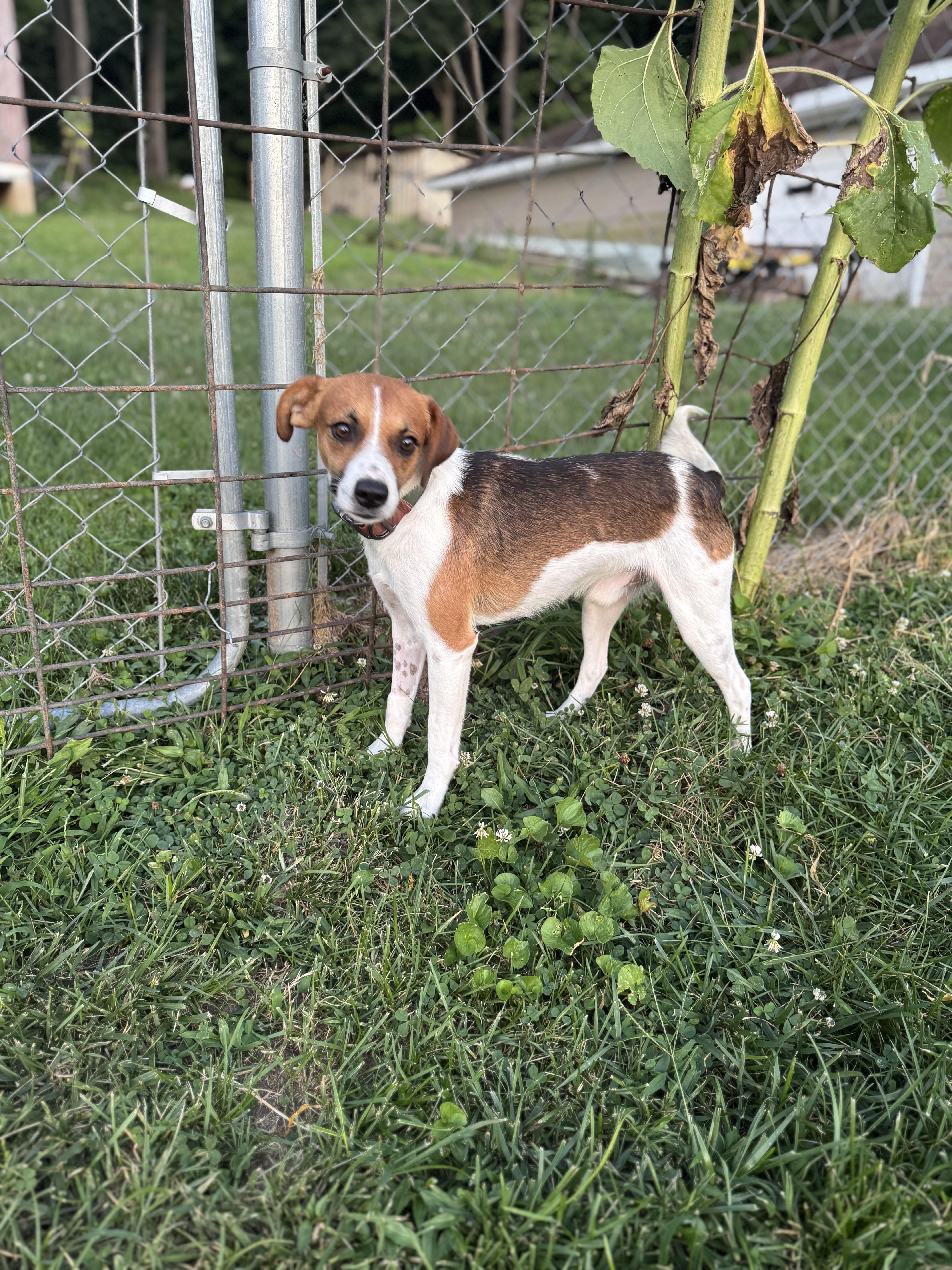 Rusty