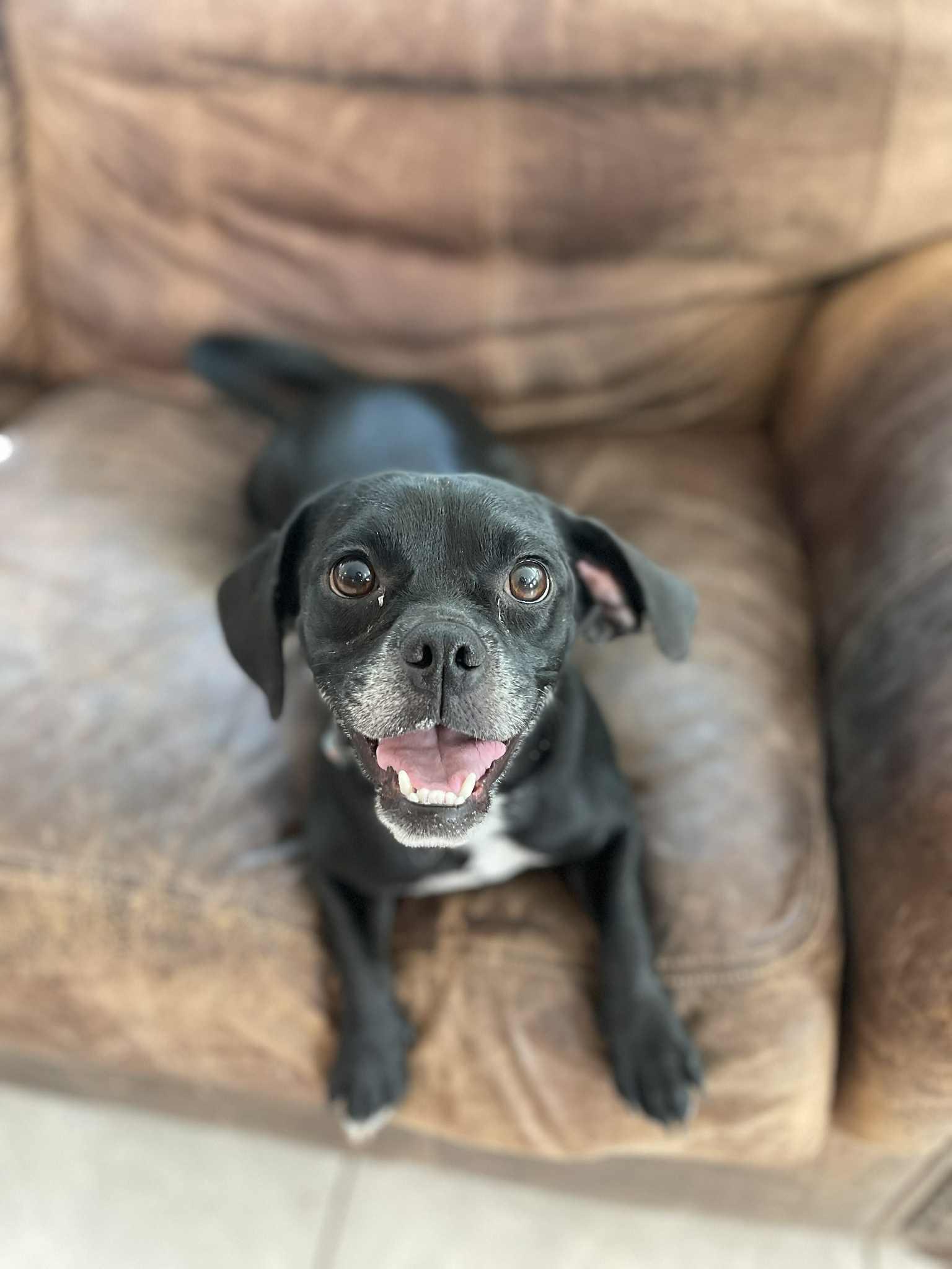 Lucy