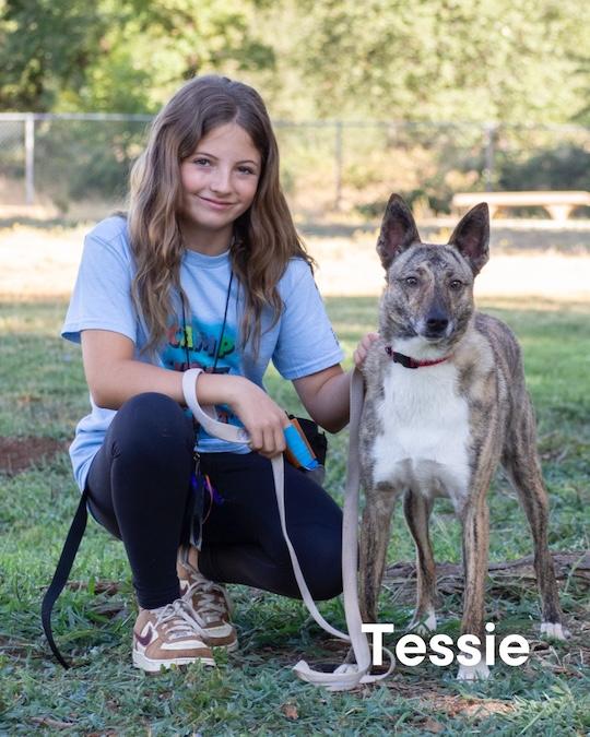 Tessie