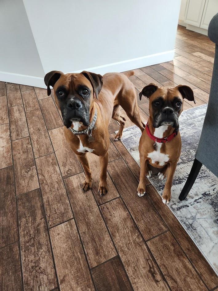 Kenya & Radio thumbnail 2