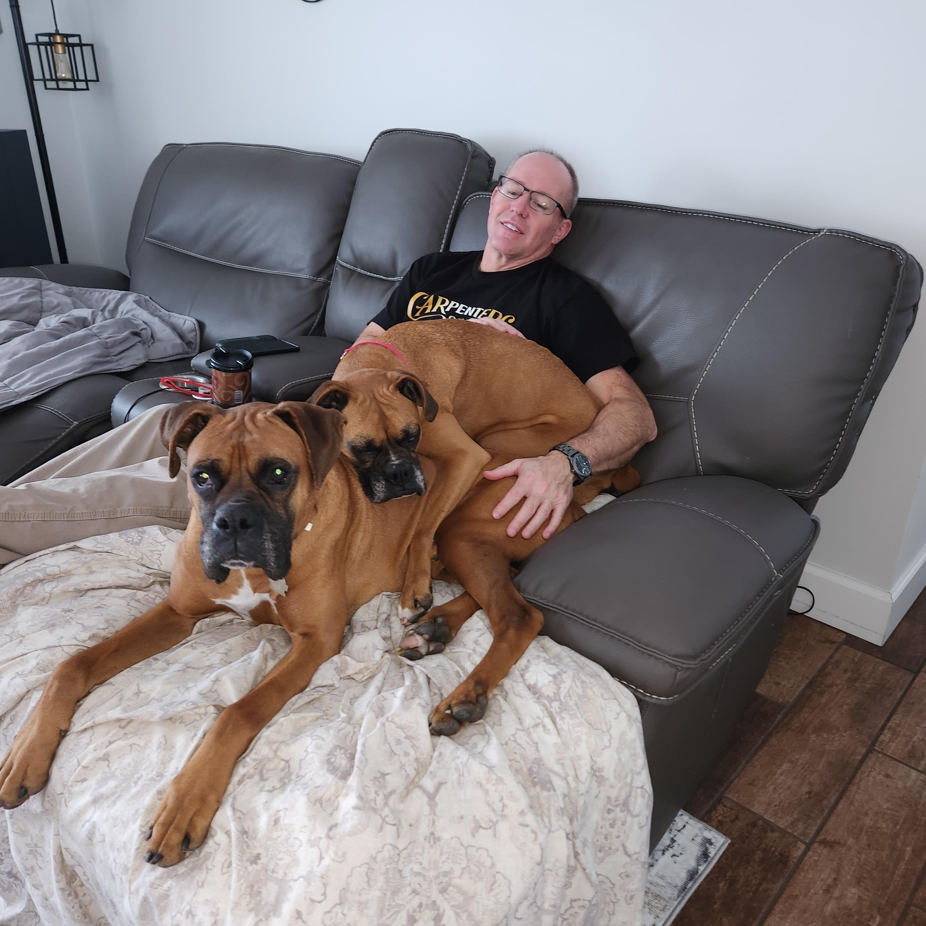 Kenya & Radio, a ADOPTABLE Boxer in Middlesex, NJ image 4/6