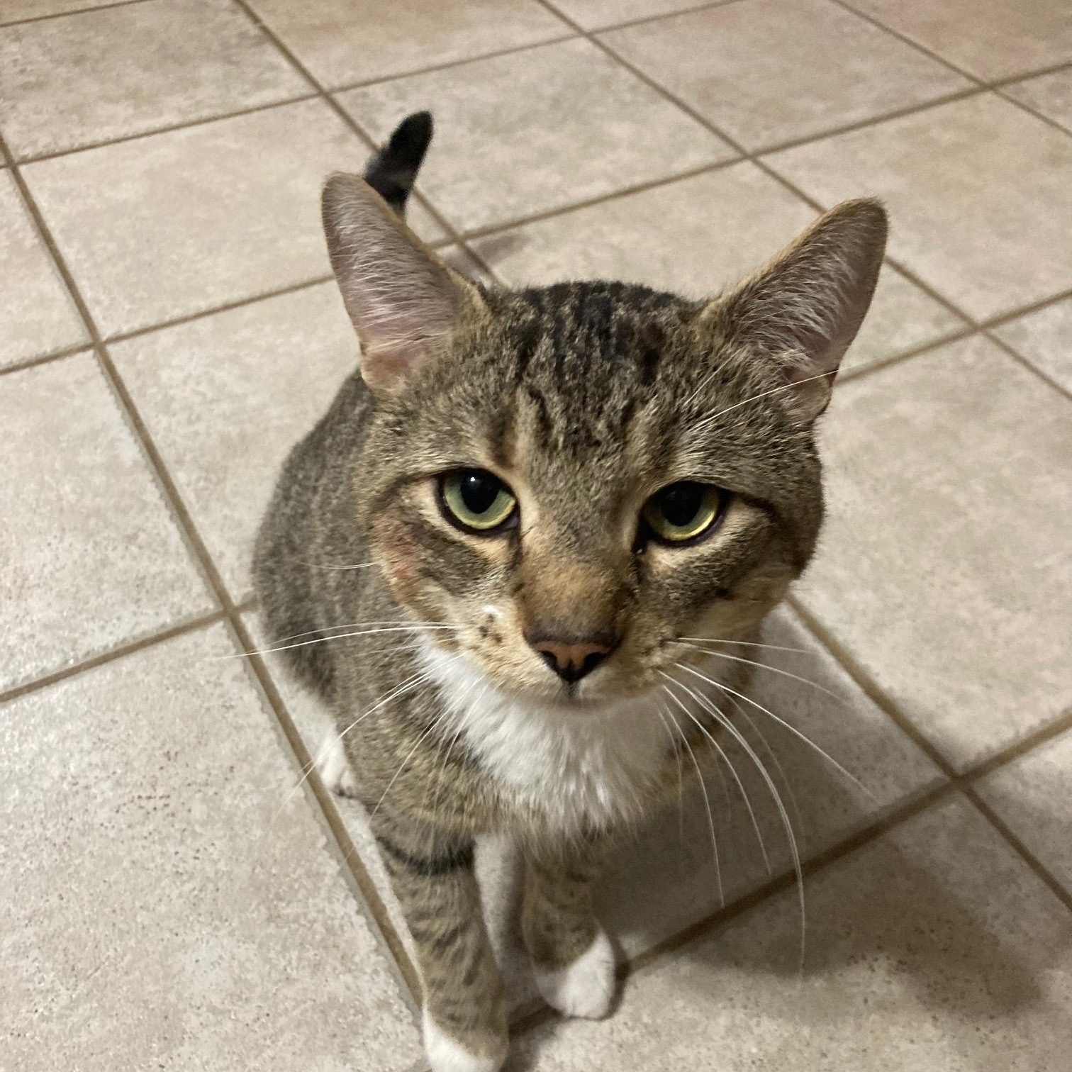 Miracle Max, Young Male unknown