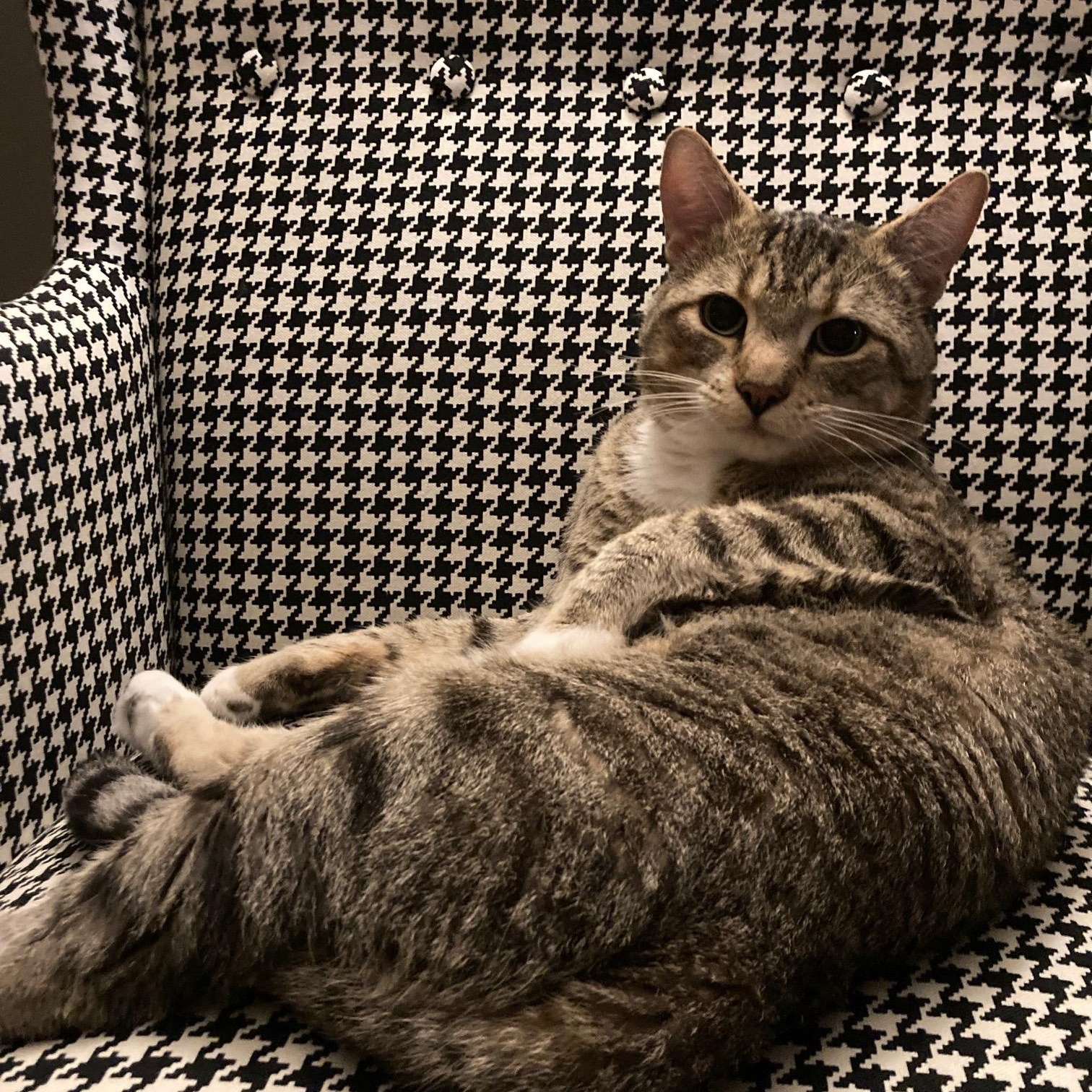 Miracle Max photo 5