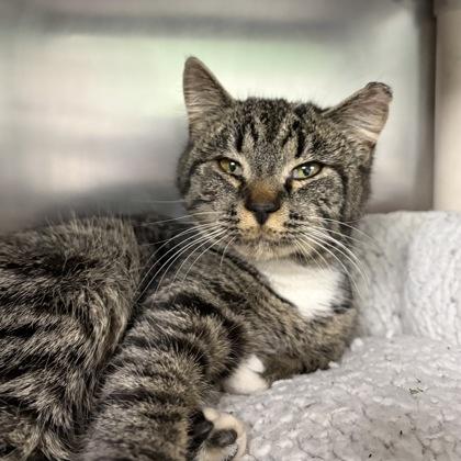 Tammy — thumbnail 2