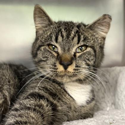 Tammy — thumbnail 3