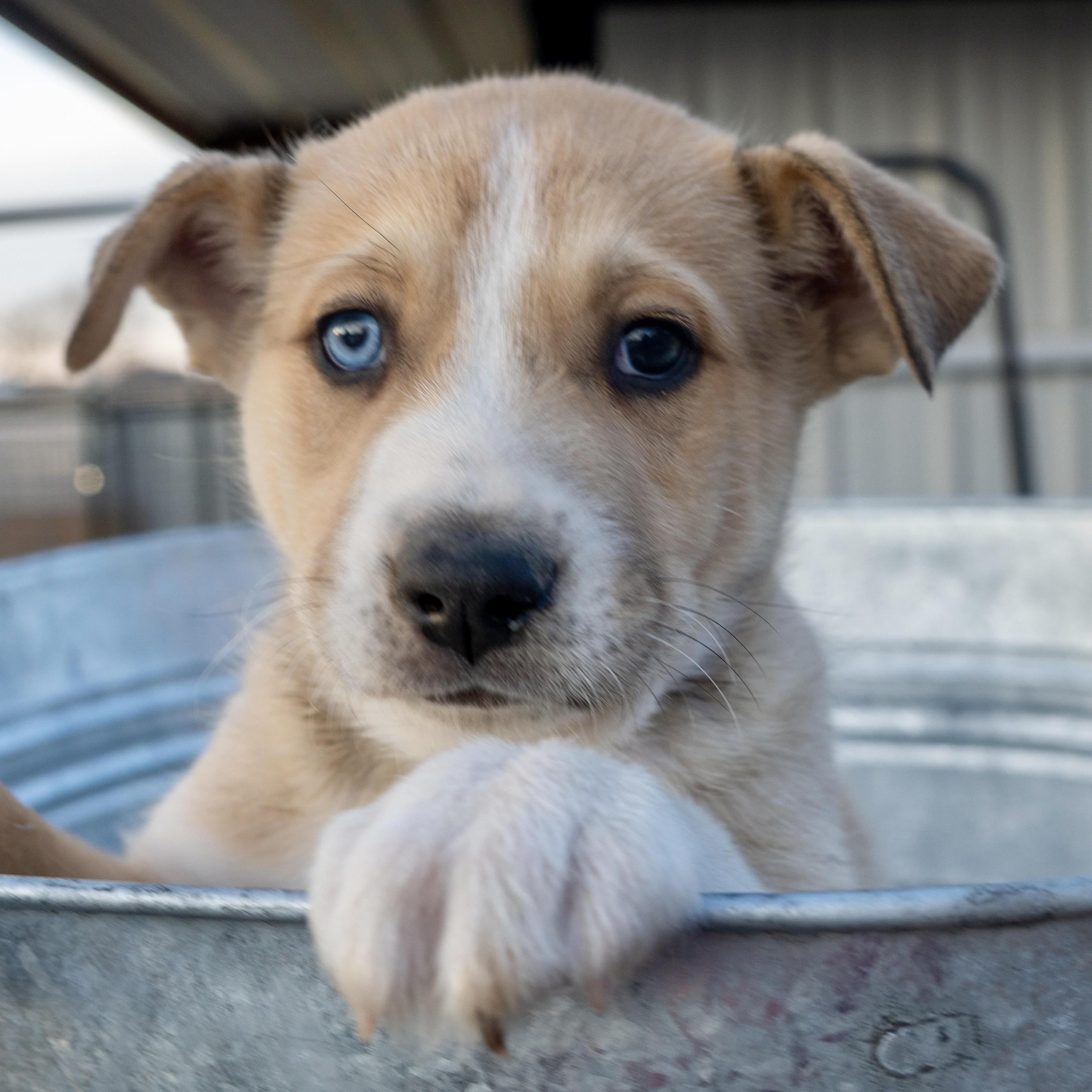 Leif — thumbnail 2