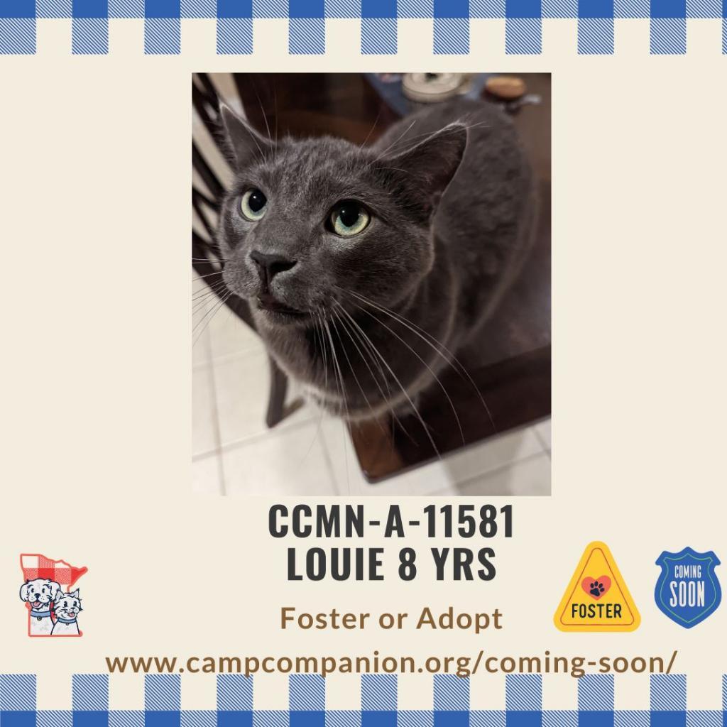 Louie — thumbnail 2