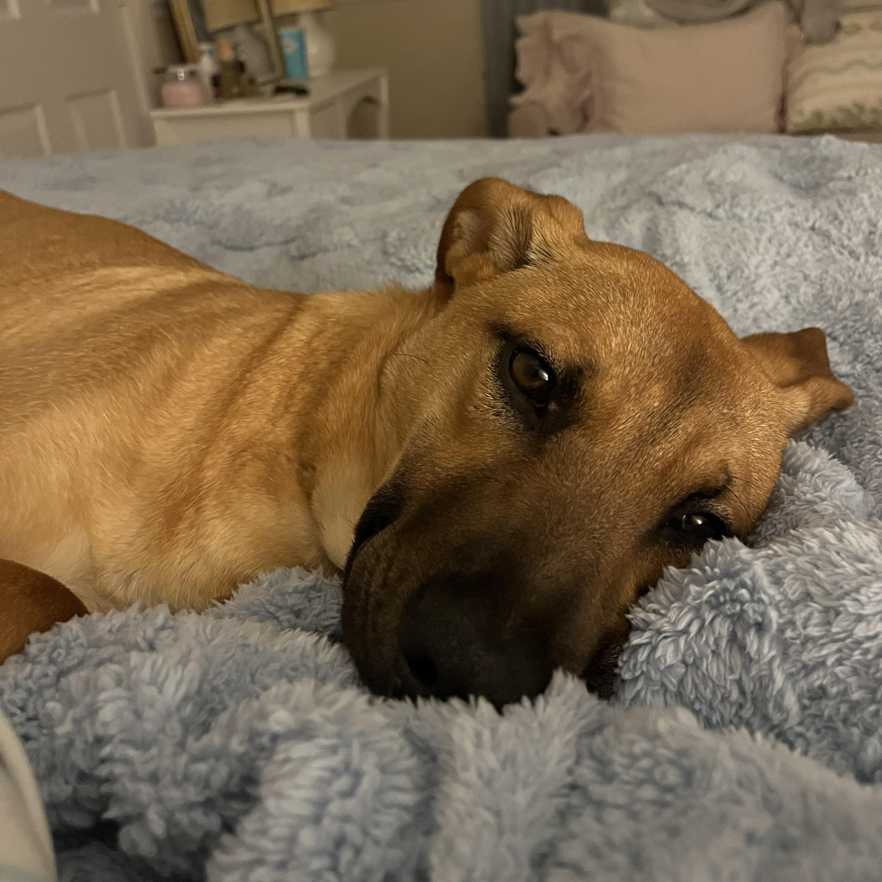 Esmeralda — thumbnail 2