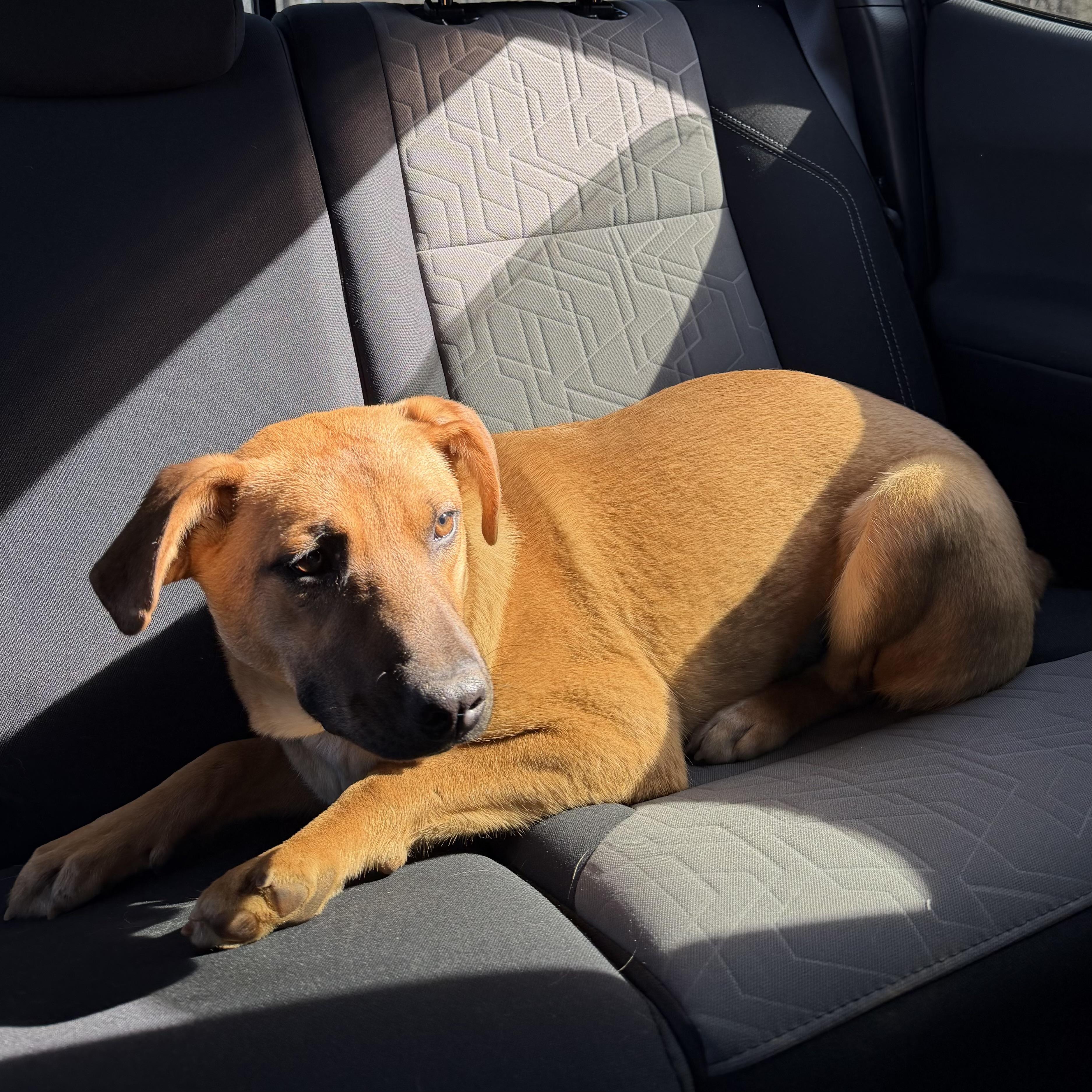 Esmeralda — thumbnail 5