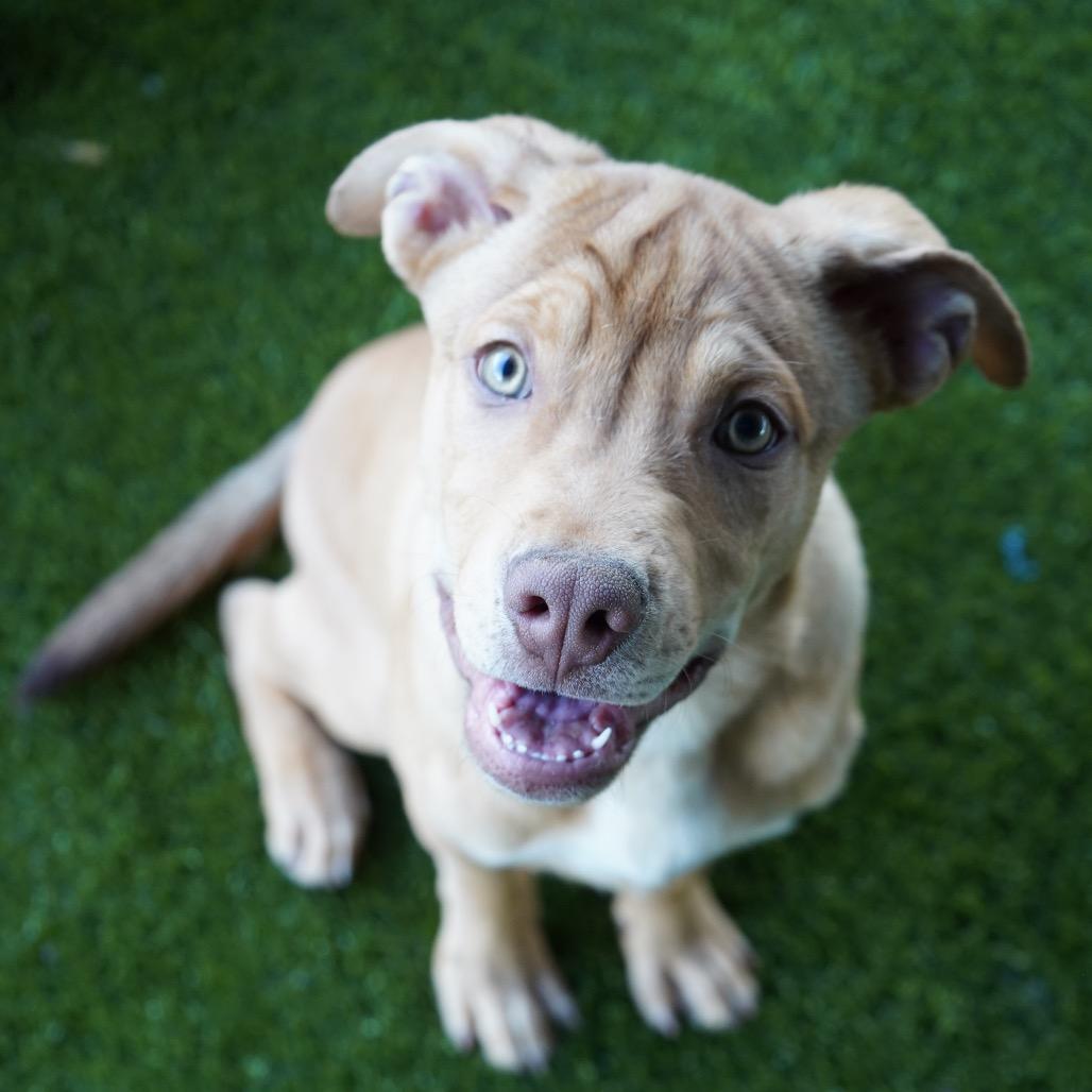 Blue — thumbnail 2