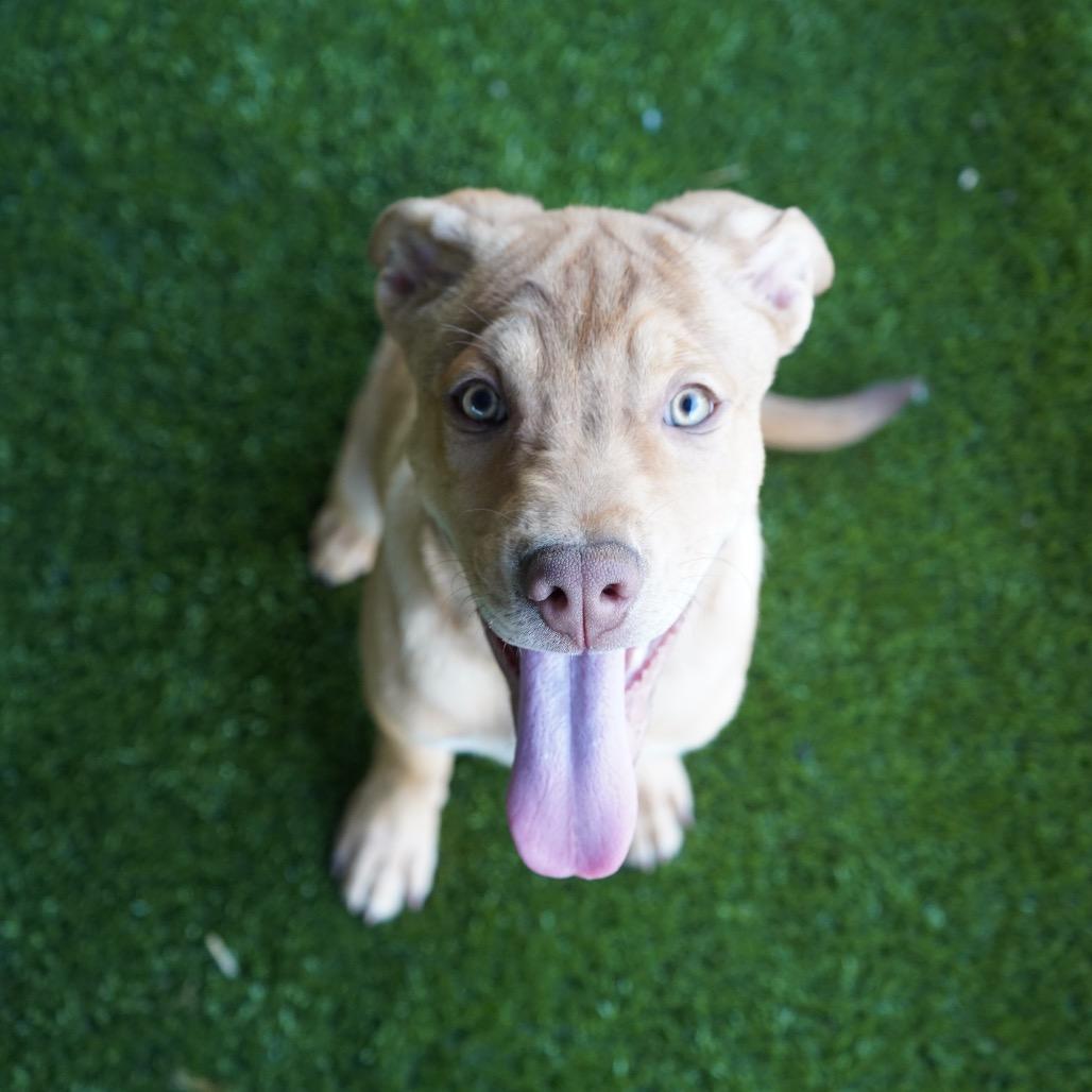 Blue — thumbnail 3