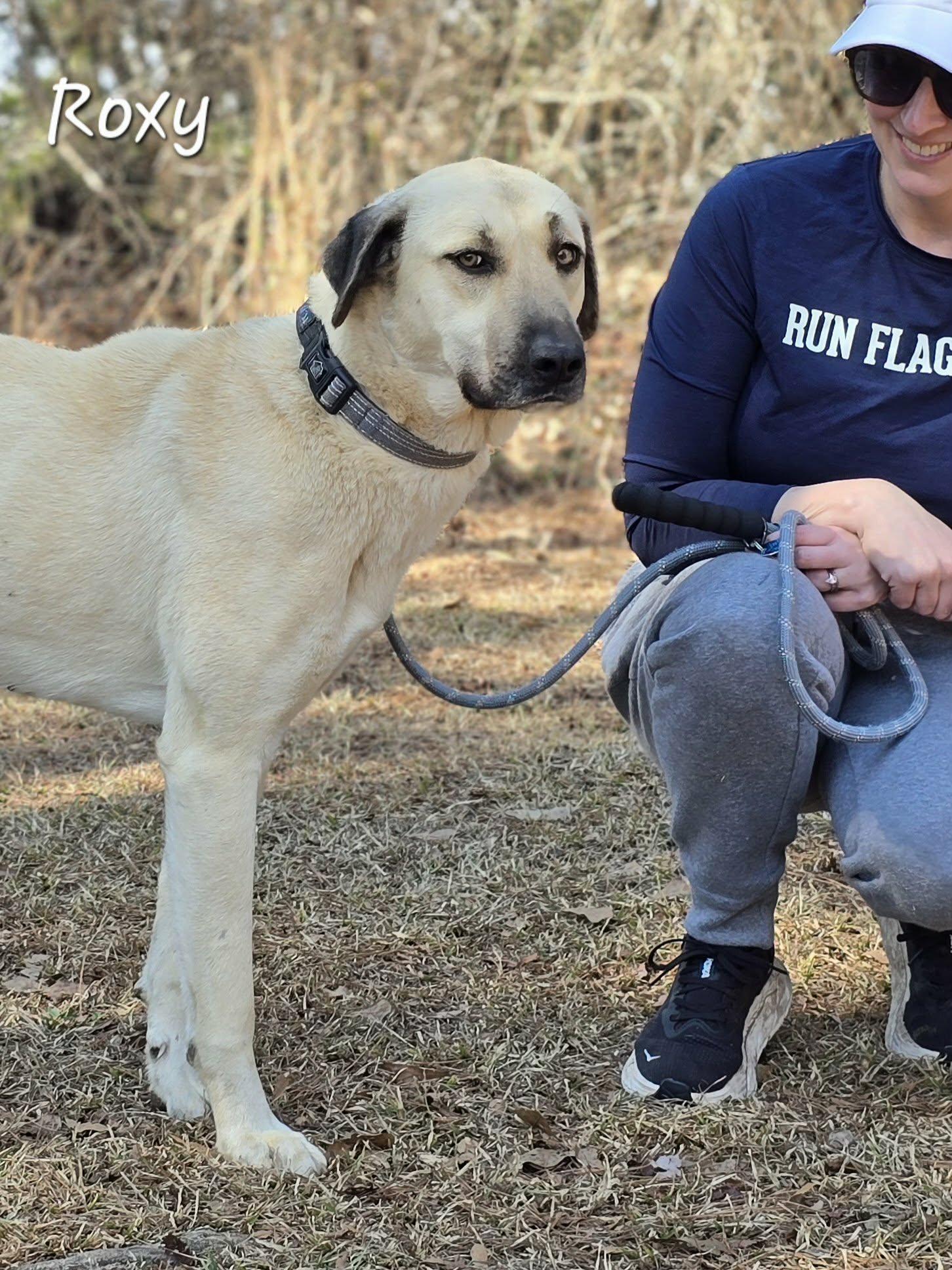 Roxy — thumbnail 5