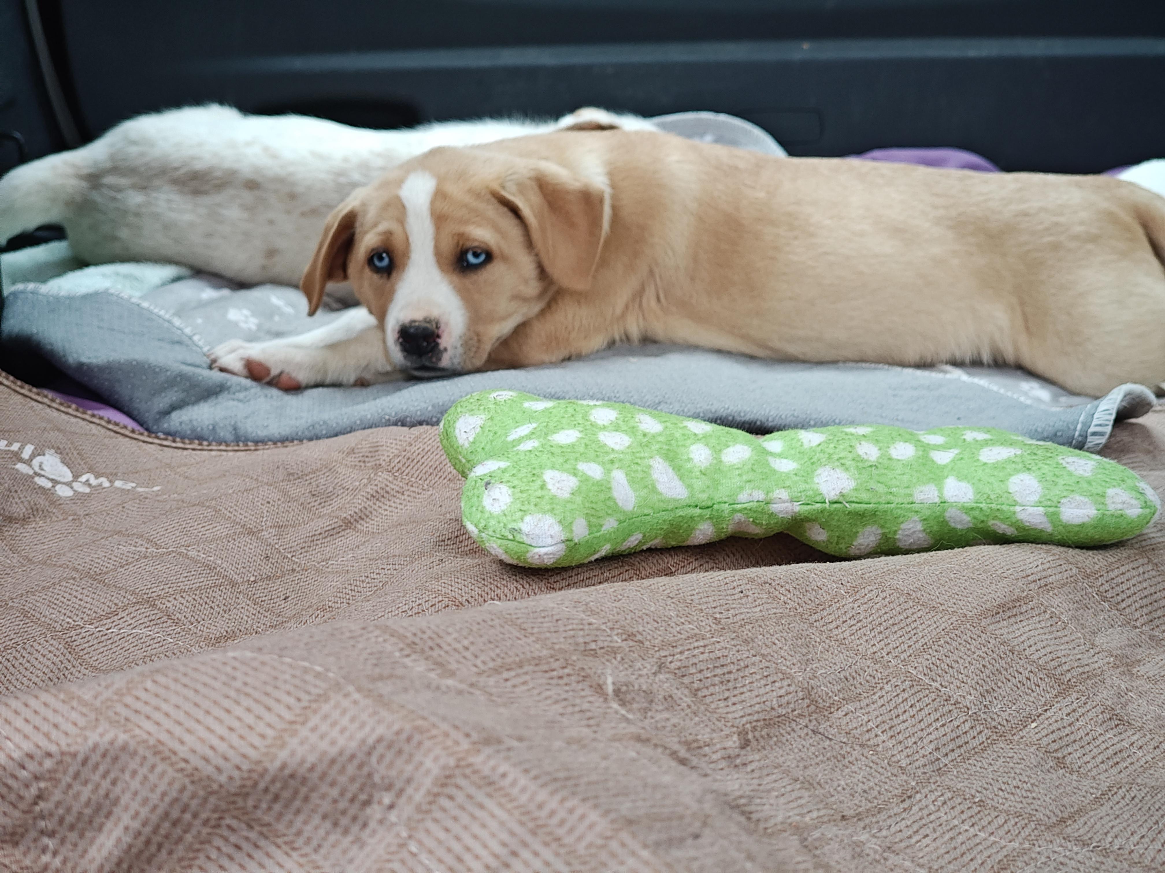 Breezy Olympians — thumbnail 2