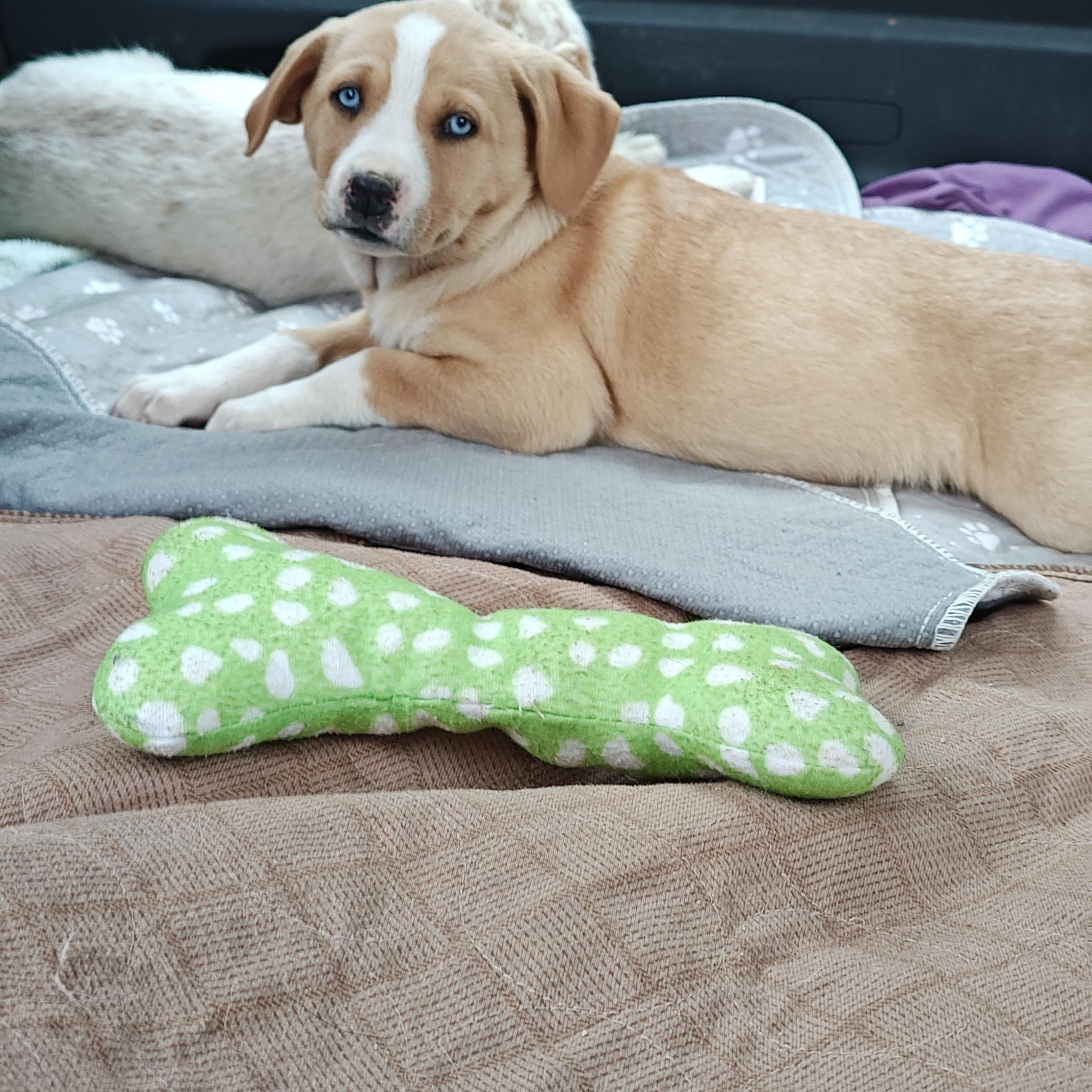 Breezy Olympians — thumbnail 3