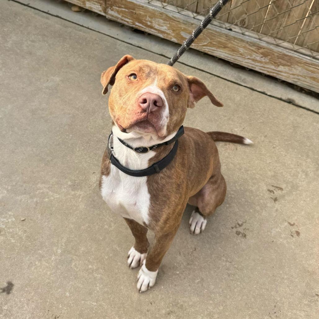 Kratos 8699 — thumbnail 5