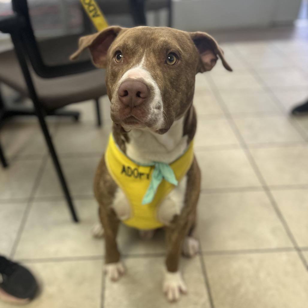 Kratos 8699 — thumbnail 6