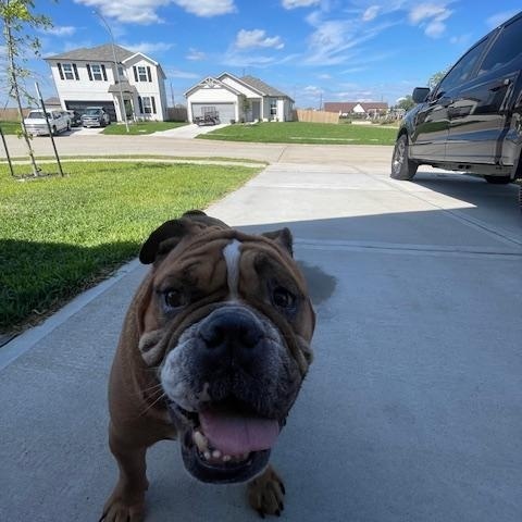 Winston