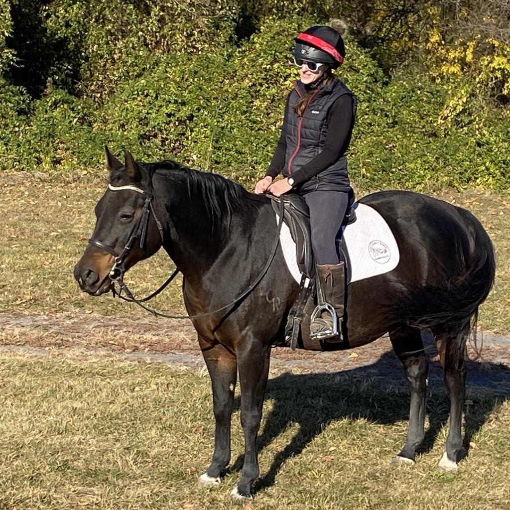 Enlarge Moxie, a Adoptable Quarterhorse in Quakertown, PA image 4/6